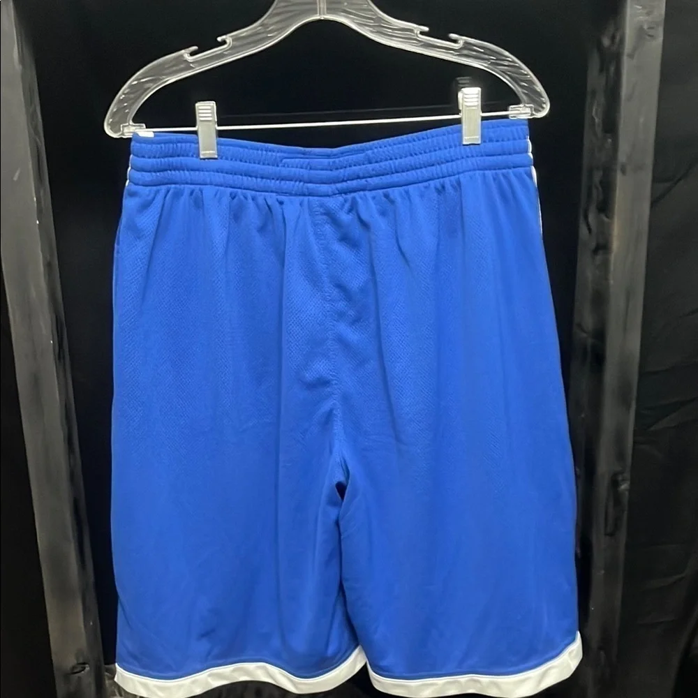 Nike Men's Royal Blue and White Athletic Shorts